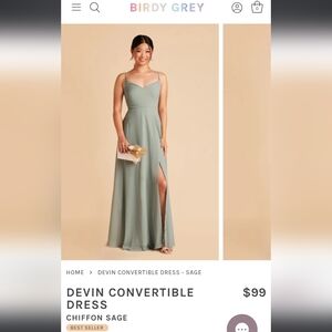 Birdy Grey Devin Chiffon Maxi Dress in Sage